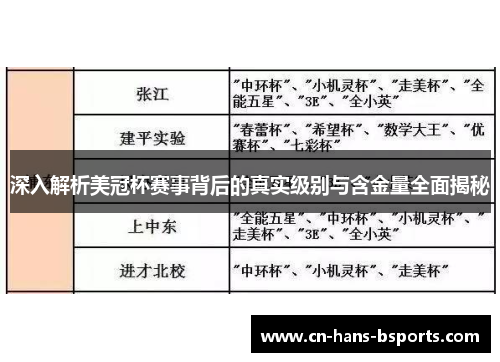 深入解析美冠杯赛事背后的真实级别与含金量全面揭秘