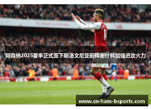 阿森纳2025夏季正式签下斯洛文尼亚前锋谢什科加强进攻火力
