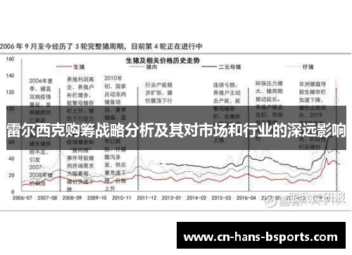 雷尔西克购筹战略分析及其对市场和行业的深远影响 雷尔西克购筹战略分析及其对市场和行业的深远影响