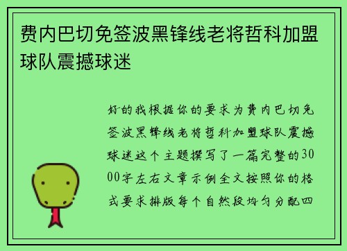 费内巴切免签波黑锋线老将哲科加盟球队震撼球迷