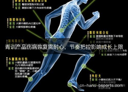 青训产品伤病恢复需耐心，节奏把控影响成长上限